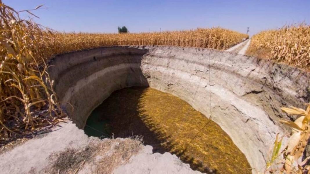 Her geçen gün sayısı artıyordu! Herkes panik halinde, kaygılar yükseldi...Nedeni ise 3